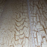 laminato legno vinile